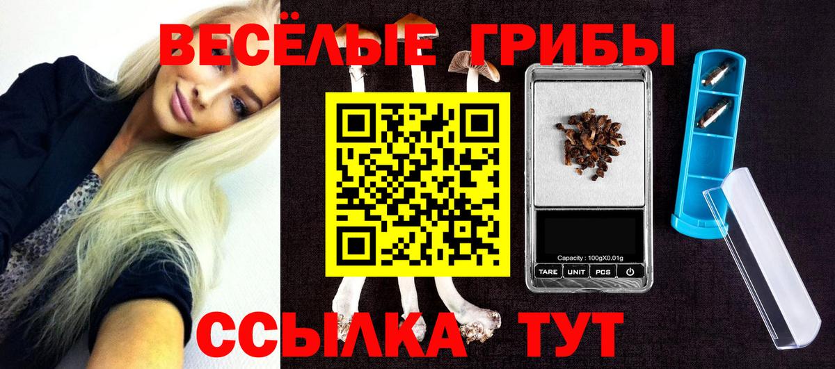 Псилоцибиновые грибы Psilocybine cubensis Ишим